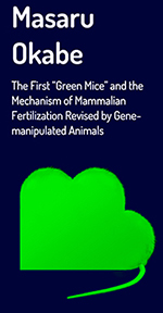 Mendel Poster